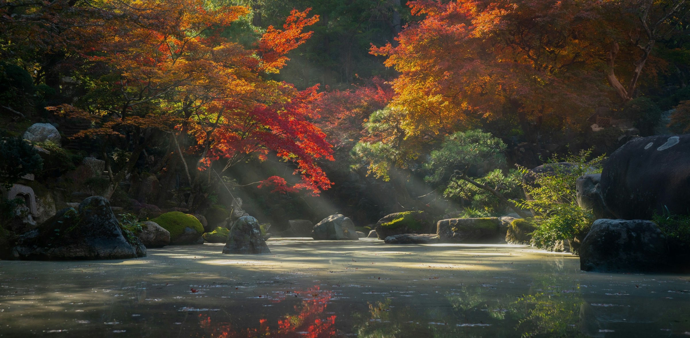 illu jardin japonais